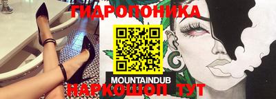 индика Новозыбков