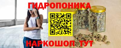 индика Новозыбков