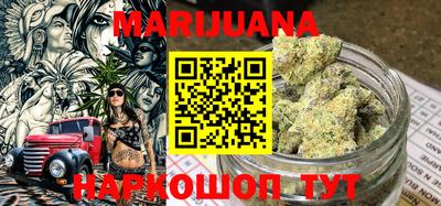 индика Новозыбков