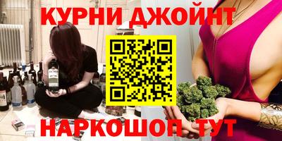 индика Новозыбков
