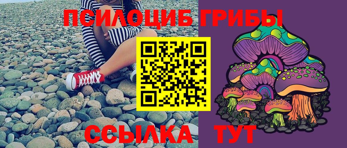 купить закладку  Вход с VPN  Южно-Сахалинск  Псилоцибиновые грибы Magic Shrooms 